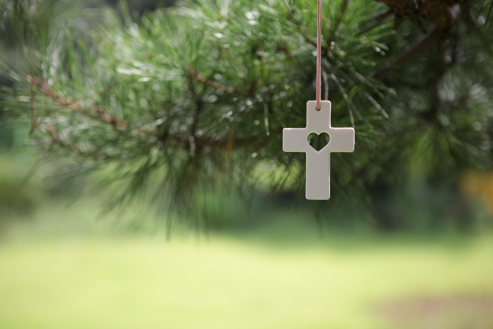 Kreuz_Herz_Pixabay_2464934 Konfirmation Kreuz an grünem Zweig